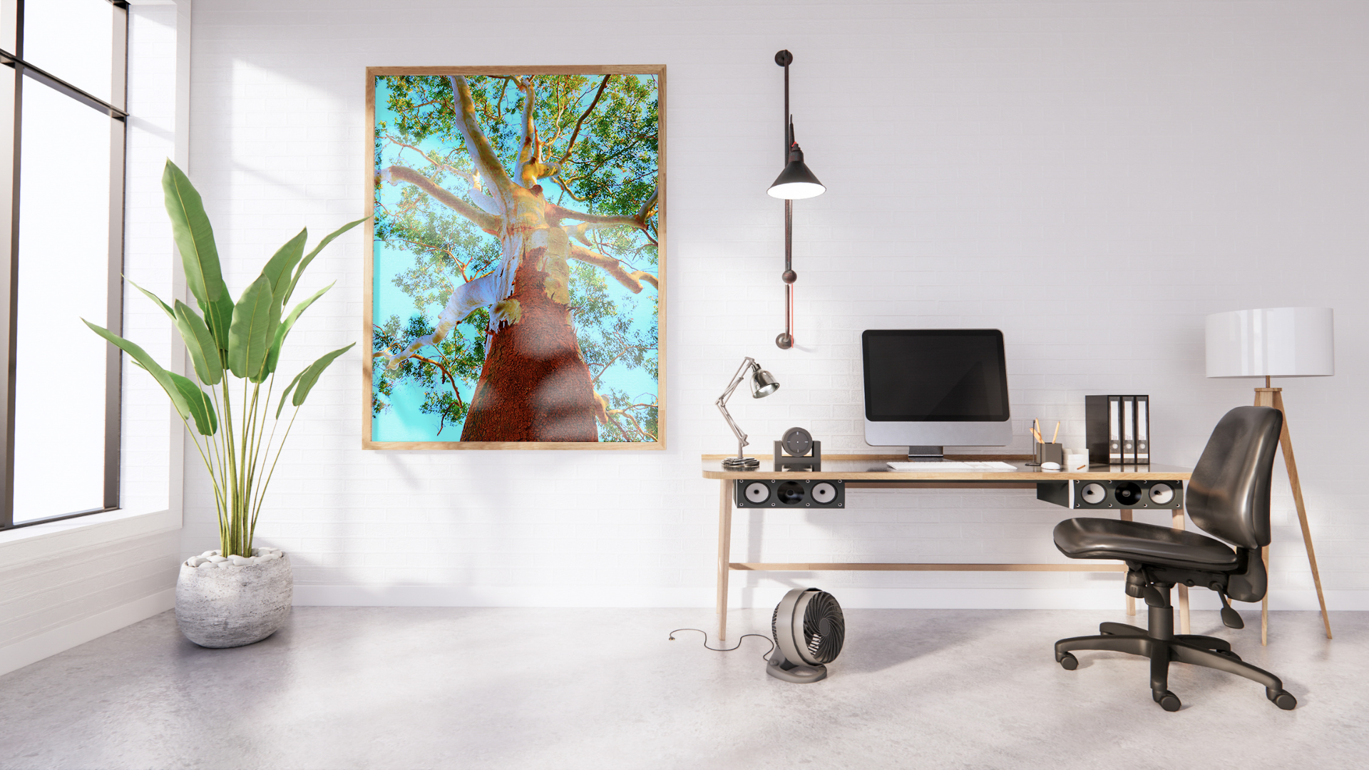 Gumtree Heaven original abstract contextualised office art modern decor photo print by Blair Montague Drake